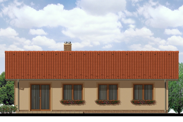 Array - perspektiva PL